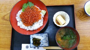 いくら丼